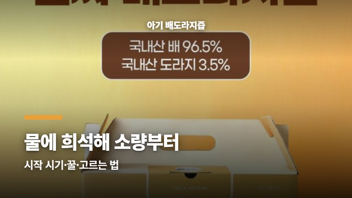 대표썸네일