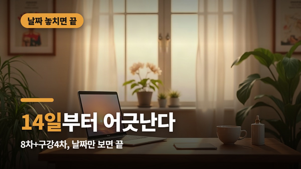 대표썸네일